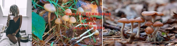 МДМА Алексеевка