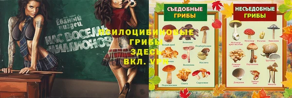 МДМА Алексеевка