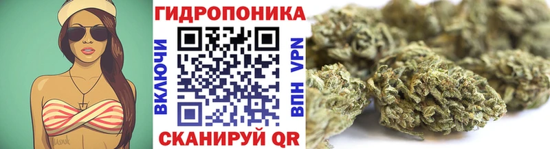 MEGA вход  Старый Оскол  Канабис VHQ  где купить наркоту 